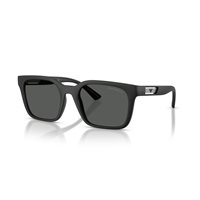 Sunglasses Emporio Armani Man 0EA426950098754